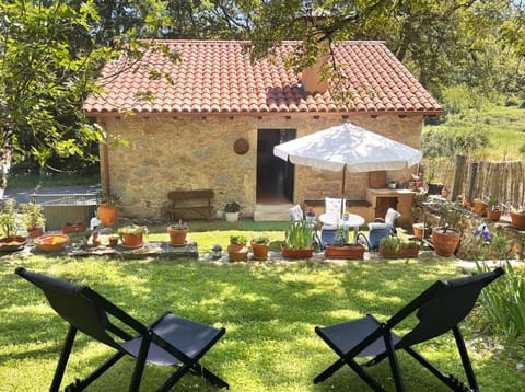 Garden, Garden, Balcony/Terrace