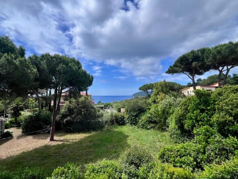 Day, Natural landscape, Garden