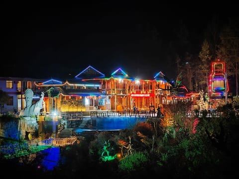 Night, Natural landscape, View (from property/room), Swimming pool