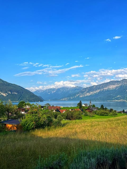 Lake view