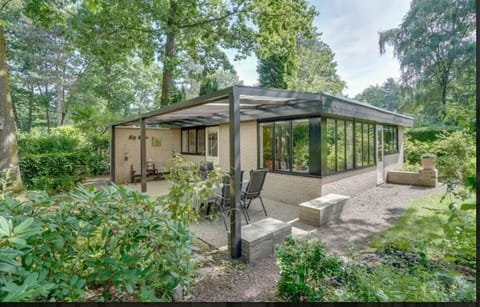 Property building, Patio, Day, Natural landscape, Garden, Garden view