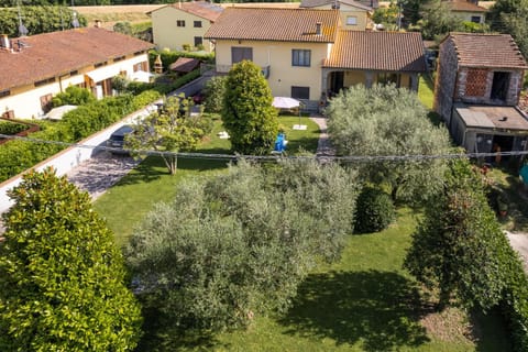 Bird's eye view, Garden, Garden, Garden view