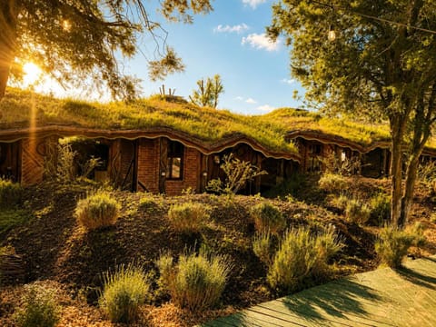 Day, Natural landscape, Garden, Garden view