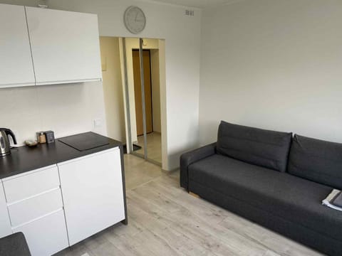 Vilnius Apartment with Balcony Apartment in Vilnius