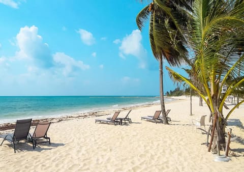 Nearby landmark, Spring, Day, Natural landscape, Beach, Sea view, sunbed