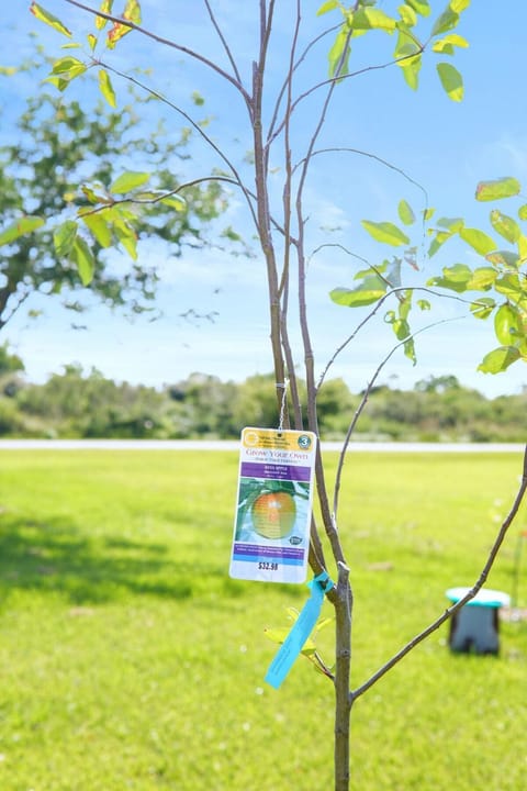 Bay Views,King Bed,Close to Sand,Lvl 2 Car Charger House in Bolivar Peninsula