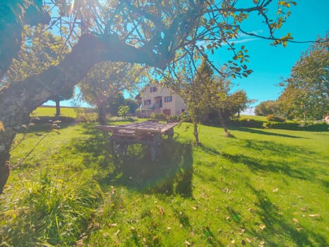 Natural landscape, Garden, Garden view