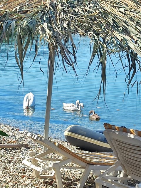 Guest house Lori House in North Macedonia