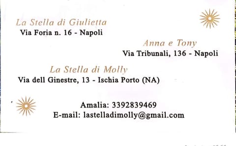la Stella di Molly-Ischia porto Apartment in Ischia