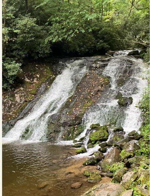 BC Downtown Villa House in Bryson City