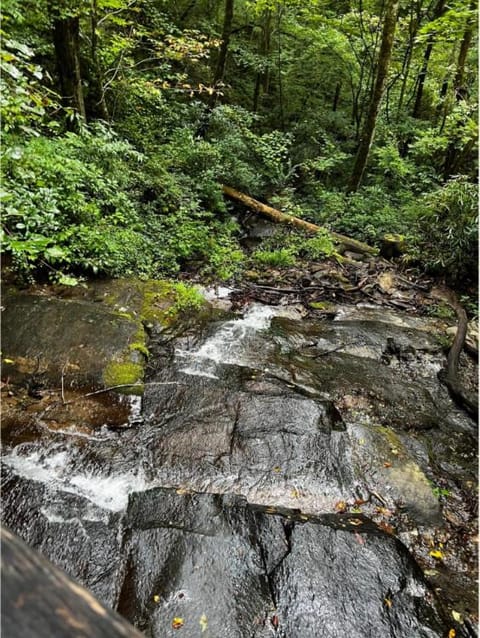 BC Downtown Villa House in Bryson City