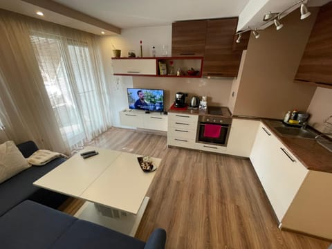TV and multimedia, Kitchen or kitchenette, Living room, Seating area, Dining area, minibar, oven, stove