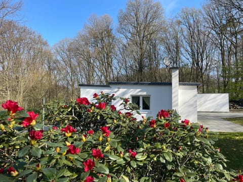 Property building, Spring, Garden