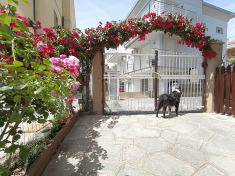 Appartamento ALöa Apartment in Loano