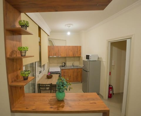 Kitchen or kitchenette, Dining area, oven, stove