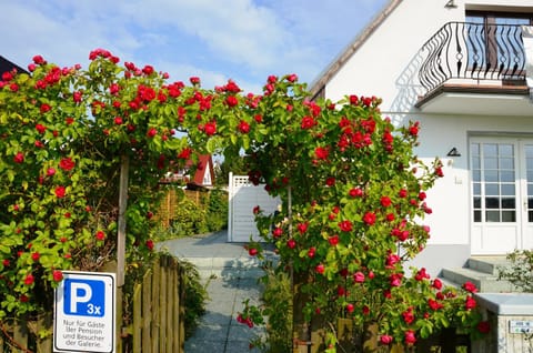 Facade/entrance, Summer, Garden, Balcony/Terrace, On site