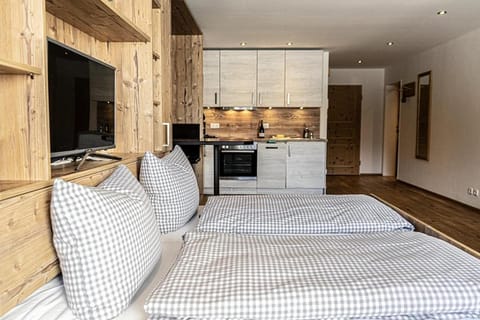 Bed, TV and multimedia, Kitchen or kitchenette, Living room, Photo of the whole room, Seating area, Dining area, Bedroom, pet friendly, stove