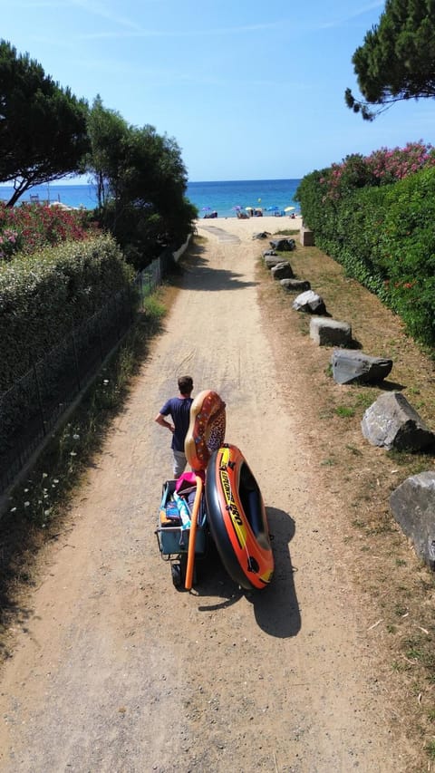 Beach, Beach