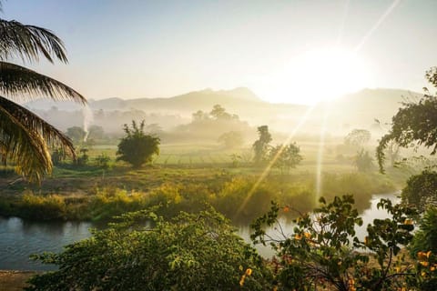 Natural landscape