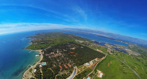 Off site, Bird's eye view