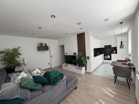 Kitchen or kitchenette, Living room, Dining area, kitchen