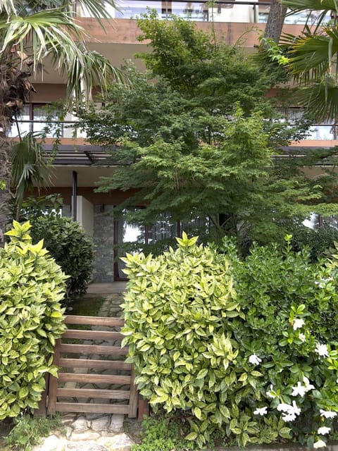 Property building, Inner courtyard view