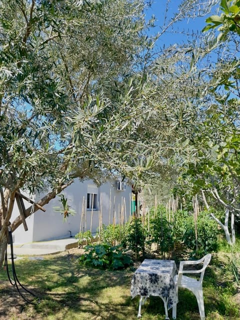 Ylli&Njeza Houses House in Vlorë