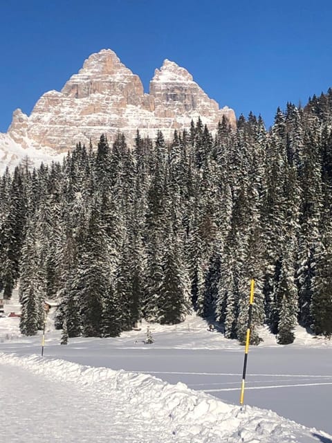 Il Cadorino Apartment in Friuli-Venezia Giulia