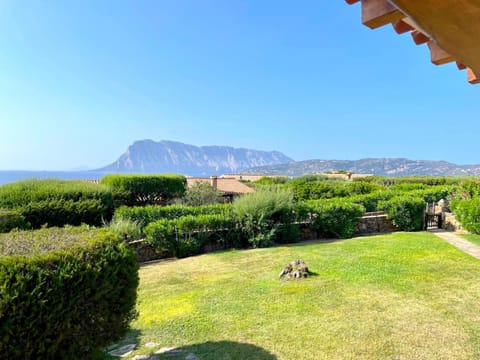 Natural landscape, Garden, Garden view, Sea view