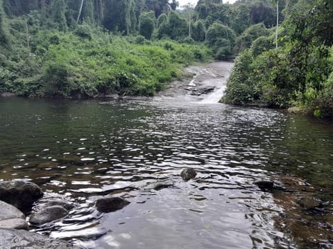 Aconchego Graúna House in State of Rio de Janeiro