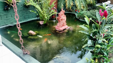 Spring, Day, Garden, Pool view