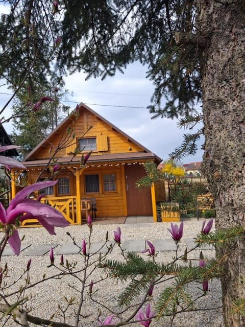 Property building, Spring, Day, Garden