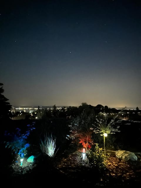 Night