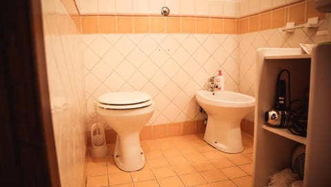 Toilet, Bathroom, bidet