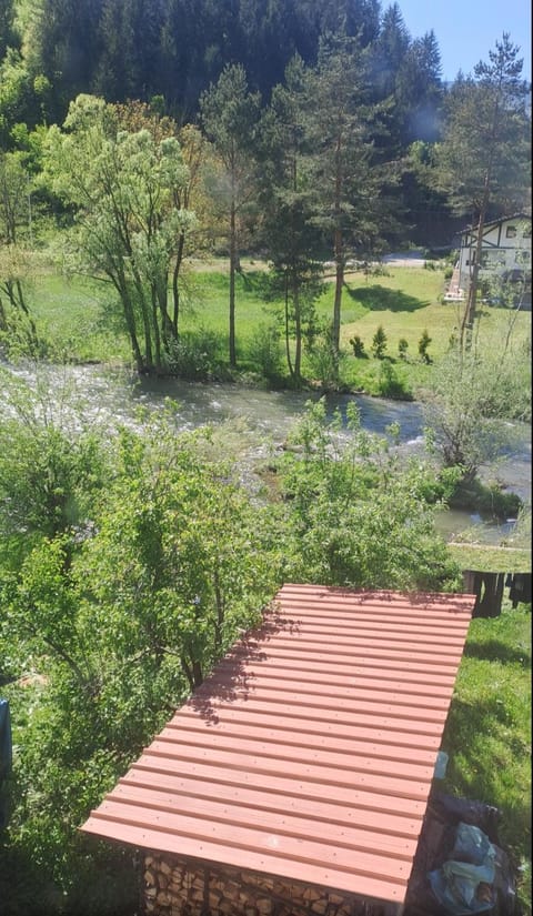 Spring, Natural landscape, River view