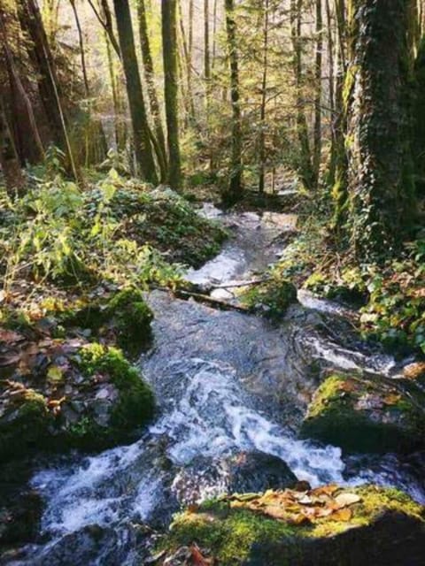 Le Gîte d'Orpha #2 Apartment in Wallonia, Belgium