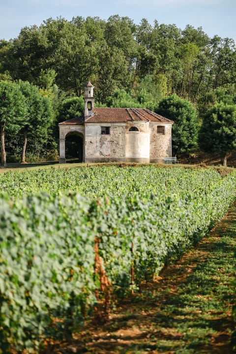 Garden, Garden view, Landmark view