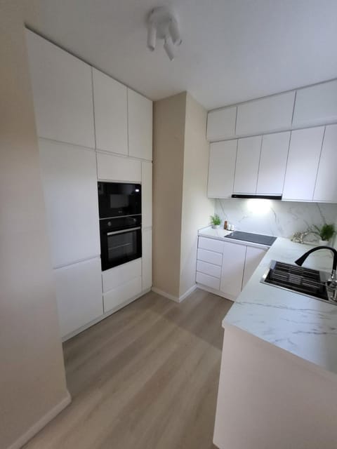 Kitchen or kitchenette, oven