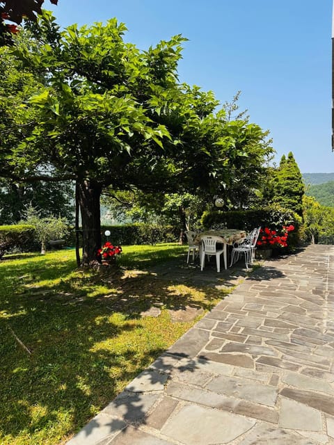 Spring, Day, Natural landscape, Garden, Garden view