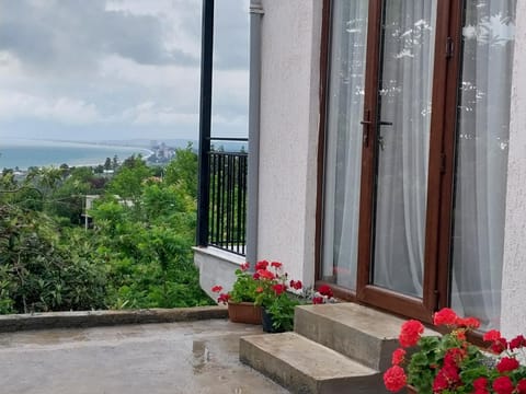 Patio, Spring, Day, Natural landscape, Garden, View (from property/room), Balcony/Terrace, Garden view, Sea view