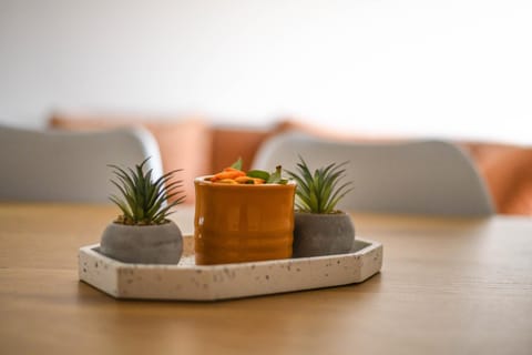 Apartmani S Apartment in Serbia