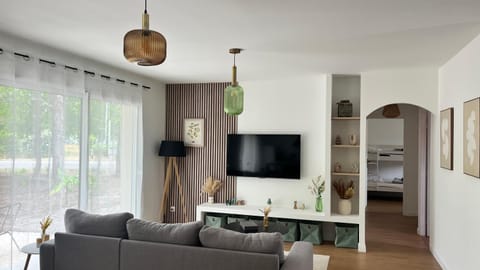 TV and multimedia, Living room