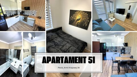 Bed, TV and multimedia, Kitchen or kitchenette, Living room, Photo of the whole room, Dining area, Bedroom