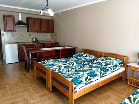 Bed, Kitchen or kitchenette, Photo of the whole room, Bedroom, oven, stove
