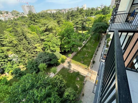 Spring, Day, Natural landscape, Bird's eye view, Garden, Garden, City view, Garden view