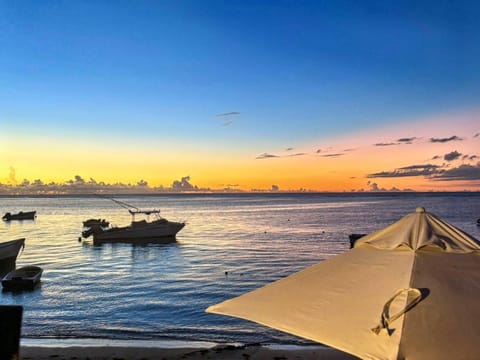 Day, Sunset