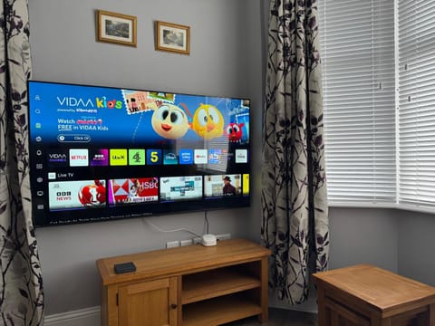 TV and multimedia, internet