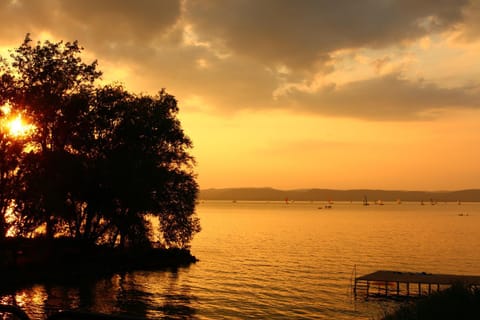 Summer, Lake view, Sunset