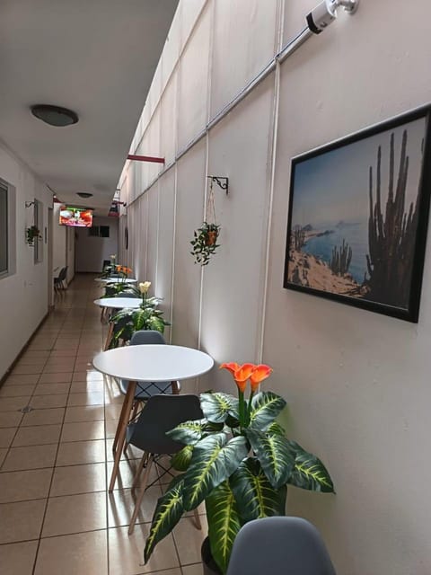 Property building, Breakfast