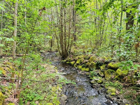 Mt Rainier!Best place to stay with family and friends! Sleeps10!4B 2B Home! Hottub!PondView!Paradise! House in Ashford